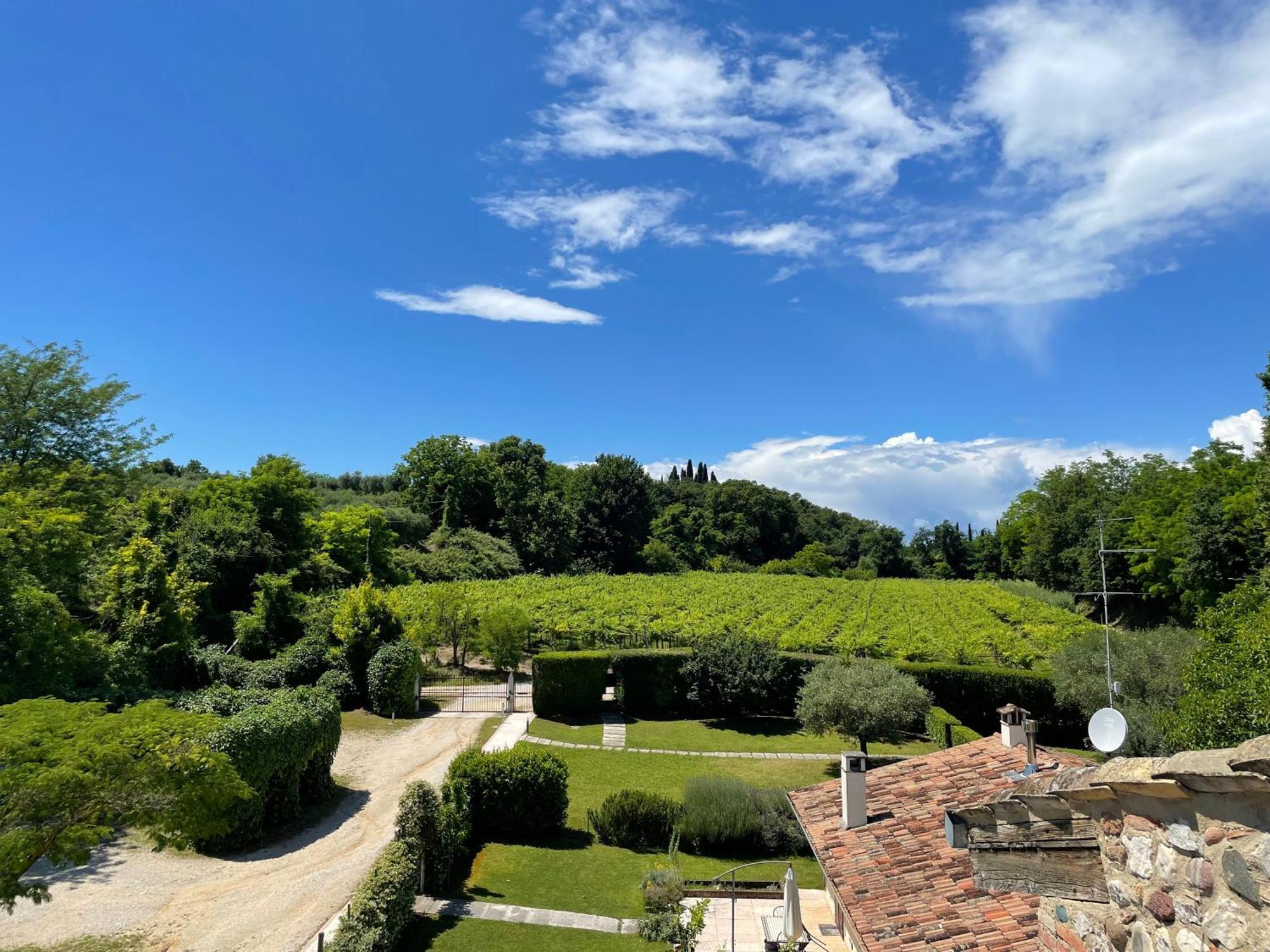 Casa Carlotte - Lago Di Garda Lazise Eksteriør billede