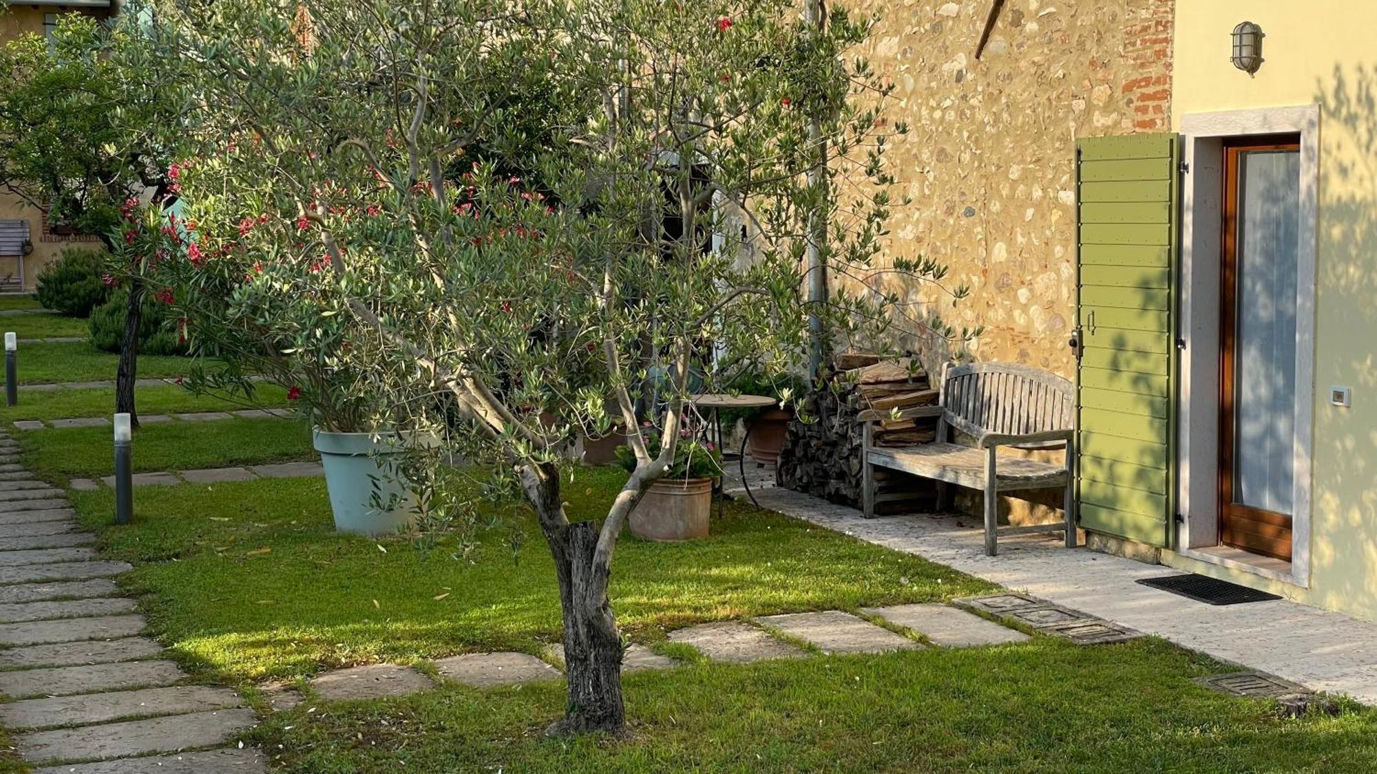 Casa Carlotte - Lago Di Garda Lazise Eksteriør billede